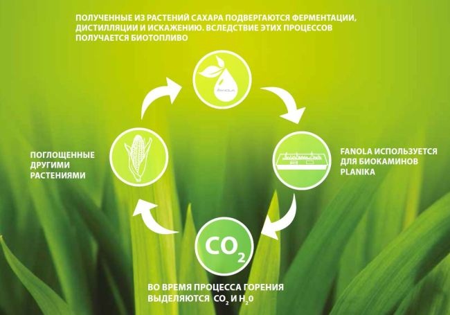 Принцип работы биотоплива