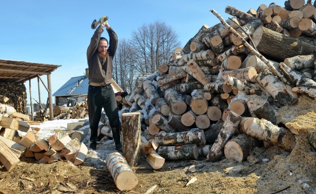 Запасаем на зиму дрова