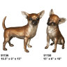 Чихуахуа 
